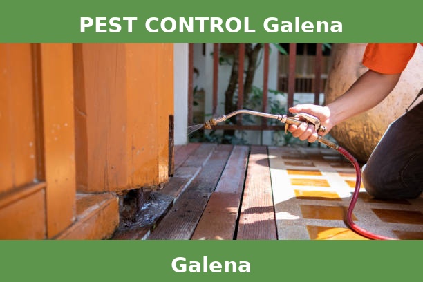 PEST CONTROL Galena